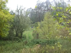 Dražba louky, Biskupice-Pulkov, 986 m2