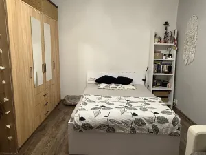 Pronájem bytu 1+1, Děčín - Děčín VI-Letná, 43 m2