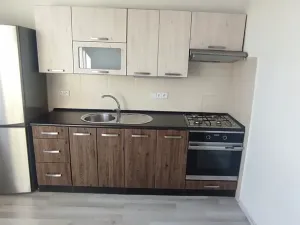 Pronájem bytu 1+1, Ostrava, Ahepjukova, 37 m2