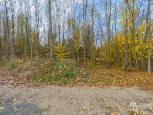 Prodej pozemku pro bydlení, Dolní Rychnov, 1569 m2