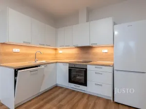 Pronájem bytu 3+kk, Staré Město, Hradišťská, 76 m2