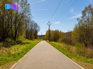 Prodej pozemku pro bydlení, Železná Ruda - Špičák, 2509 m2