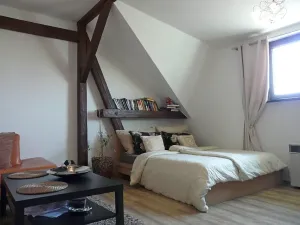 Pronájem bytu 1+1, Brno, Zvěřinova, 53 m2