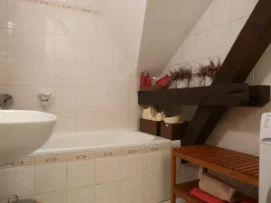 Pronájem bytu 1+1, Brno, Zvěřinova, 53 m2