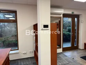 Pronájem obchodního prostoru, Brno, U Leskavy, 92 m2