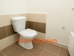 Pronájem bytu 1+kk, Stonava, Hořany, 21 m2