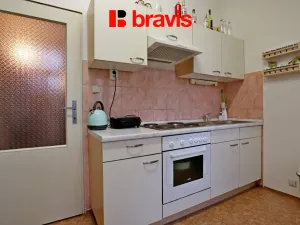 Pronájem bytu 1+1, Brno - Veveří, Antonínská, 53 m2