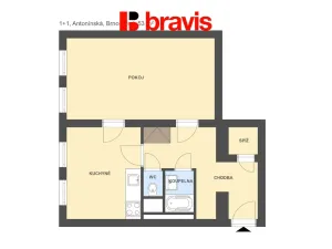 Pronájem bytu 1+1, Brno - Veveří, Antonínská, 53 m2