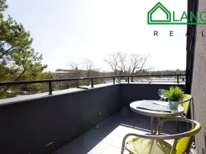 Pronájem bytu 1+kk, Brno, Dobrovského, 40 m2