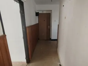 Prodej bytu 2+1, Březová, Okružní, 55 m2