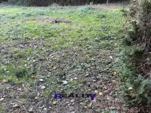 Prodej zahrady, Struhařov, V Zahradách, 397 m2