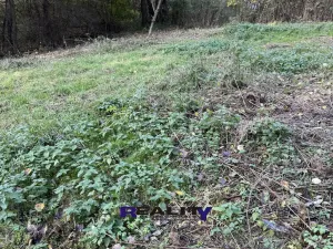 Prodej zahrady, Struhařov, V Zahradách, 397 m2