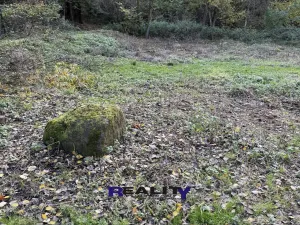 Prodej zahrady, Struhařov, V Zahradách, 397 m2