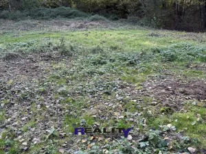 Prodej zahrady, Struhařov, V Zahradách, 397 m2