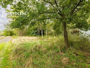 Prodej zahrady, Malé Žernoseky, 1568 m2