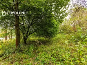 Prodej zahrady, Malé Žernoseky, 1568 m2