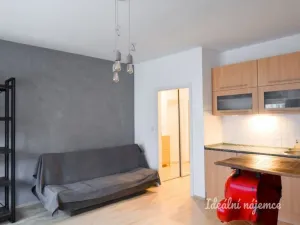 Pronájem bytu 1+kk, Brno - Staré Brno, Trýbova, 34 m2