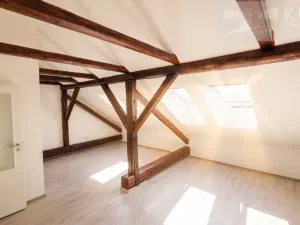Prodej bytu 2+kk, České Budějovice, Rudolfovská tř., 43 m2