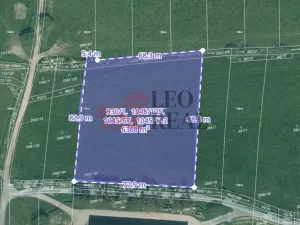 Prodej pole, Vstiš, 76424 m2