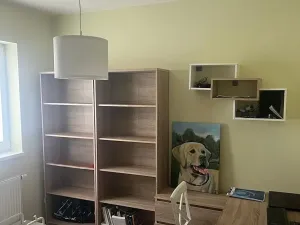 Pronájem rodinného domu, Plzeň, Konopná, 100 m2