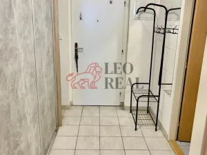 Pronájem bytu 1+kk, Uherské Hradiště - Mařatice, Sadová, 48 m2