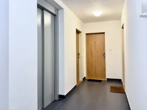 Prodej bytu 1+kk, Brno, Žabí, 27 m2