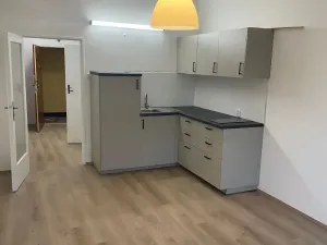 Pronájem bytu 1+kk, Praha - Nusle, Kloboučnická, 28 m2