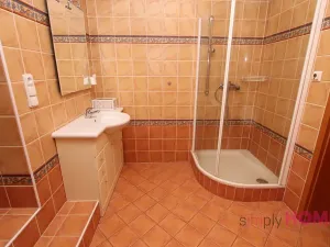 Pronájem bytu 3+kk, Praha - Holešovice, Milady Horákové, 110 m2