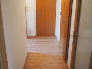 Pronájem bytu 2+1, Ostrov, Luční, 60 m2