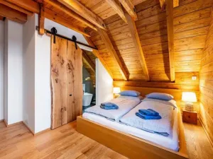 Prodej obchodního prostoru, Borotín - Kamenná Lhota, 194 m2