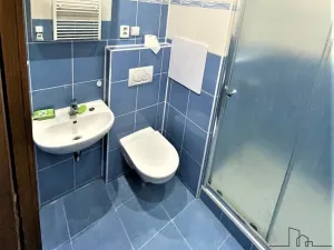 Pronájem bytu 1+1, Rakovník, U Křížku, 36 m2