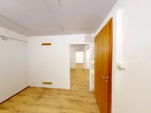 Prodej skladu, Praha - Žižkov, Malešická, 31 m2