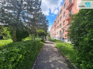 Pronájem bytu 2+1, Nymburk, U Růžáku, 50 m2