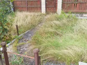 Prodej chaty, Soutice, 98 m2