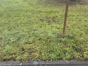 Prodej pozemku pro bydlení, Náklo - Lhota nad Moravou, 341 m2