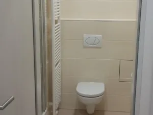 Pronájem bytu 1+kk, Plzeň - Jižní Předměstí, Technická, 32 m2