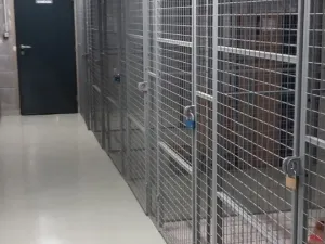 Pronájem bytu 1+kk, Plzeň - Jižní Předměstí, Technická, 32 m2