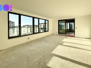 Pronájem bytu 4+kk, Ostrava, F. X. Riepla, 115 m2