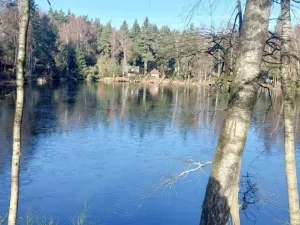 Prodej bytu 1+1, Plesná, Zahradní, 35 m2