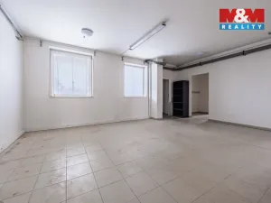 Prodej obchodního prostoru, Příbram - Příbram VI-Březové Hory, K Podlesí, 326 m2