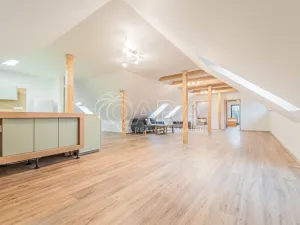 Pronájem bytu 4+kk, Srbsko, Nad Kapličkou, 180 m2