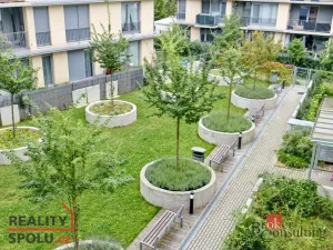 Pronájem bytu 1+kk, Praha - Žižkov, Olgy Havlové, 29 m2