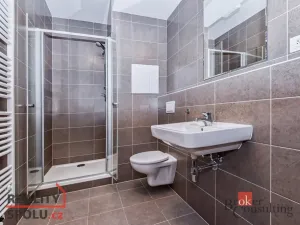 Pronájem bytu 1+kk, Praha - Žižkov, Olgy Havlové, 29 m2