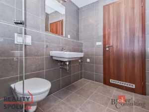 Pronájem bytu 1+kk, Praha - Žižkov, Olgy Havlové, 29 m2