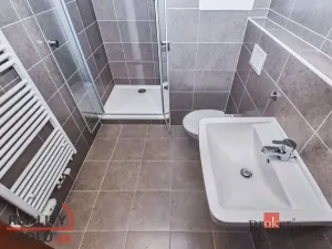 Pronájem bytu 1+kk, Praha - Žižkov, Olgy Havlové, 29 m2