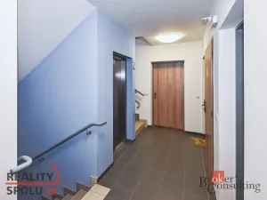 Pronájem bytu 1+kk, Praha - Žižkov, Olgy Havlové, 29 m2