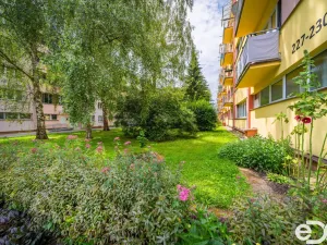 Pronájem bytu 1+kk, Pardubice, Prodloužená, 27 m2