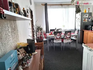 Prodej bytu 1+1, Ústí nad Labem - Ústí nad Labem-centrum, Stará, 36 m2