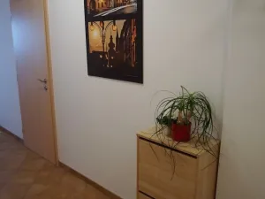 Pronájem bytu 2+1, České Budějovice, Vidovská, 62 m2