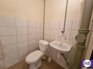 Pronájem skladu, Praha, Přecechtělova, 16 m2